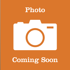 placeholder image for Zora Mohnsen, Teller at OneAZ Credit Union - Oro Valley Location