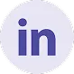 linkedin icon