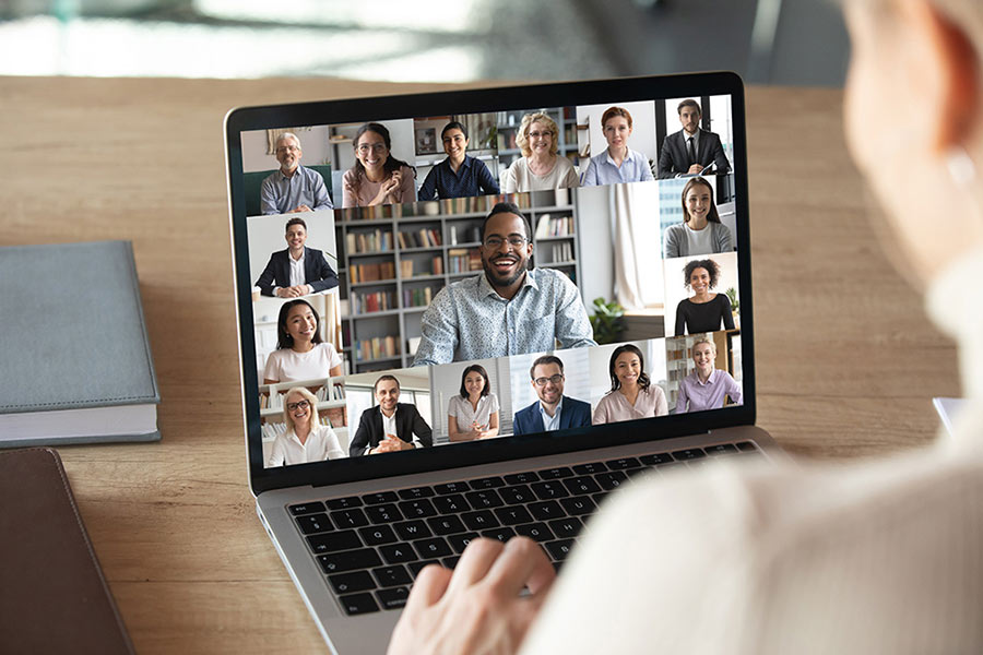 Diverse video conference call