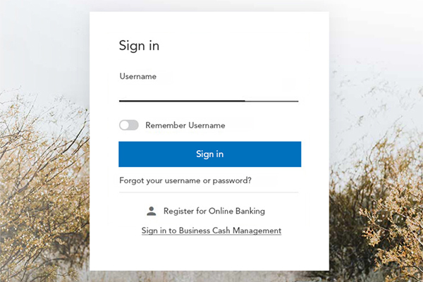 How to: Existing member login - Step 1: Enter username and click Sign In.