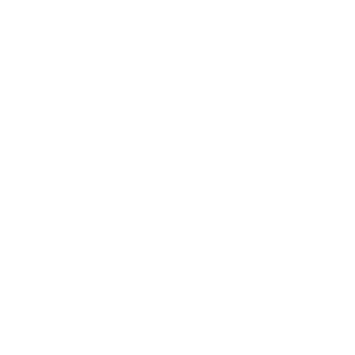 Best of Flag 2021 logo