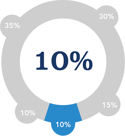 Credit Mix (10%)