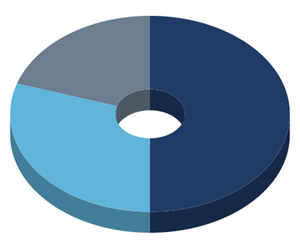 50/30/20 Budget - pie chart