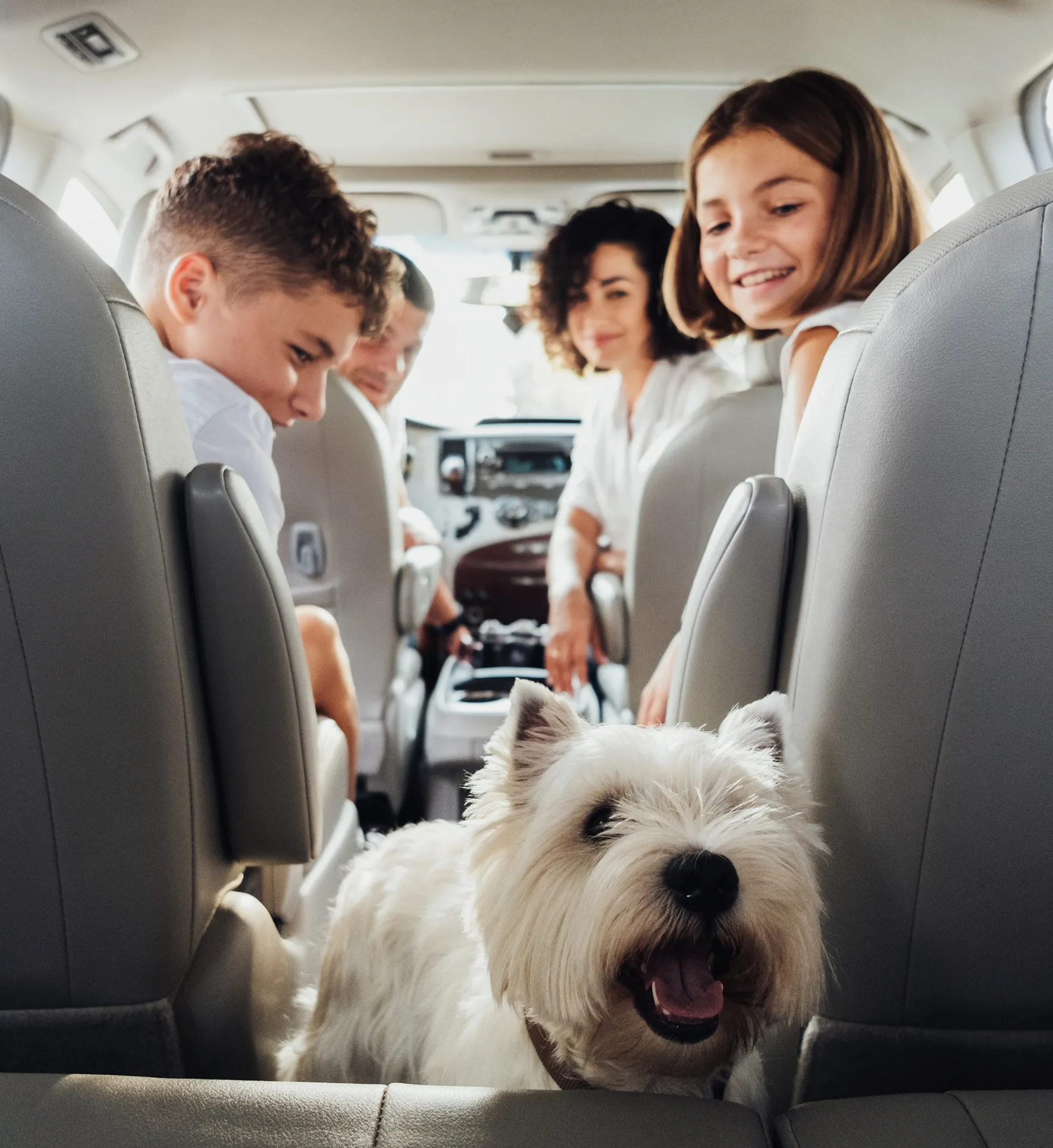 Shutterstock 2303744865 1 (3)