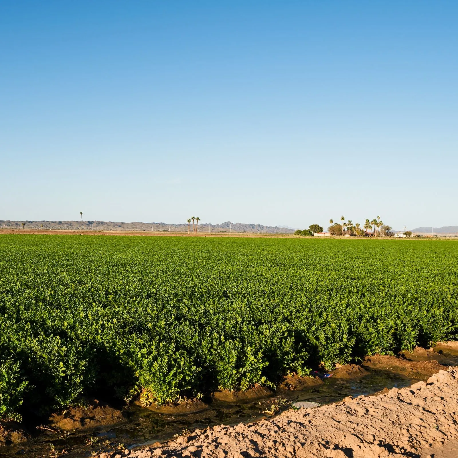 Shutterstock 2441069563