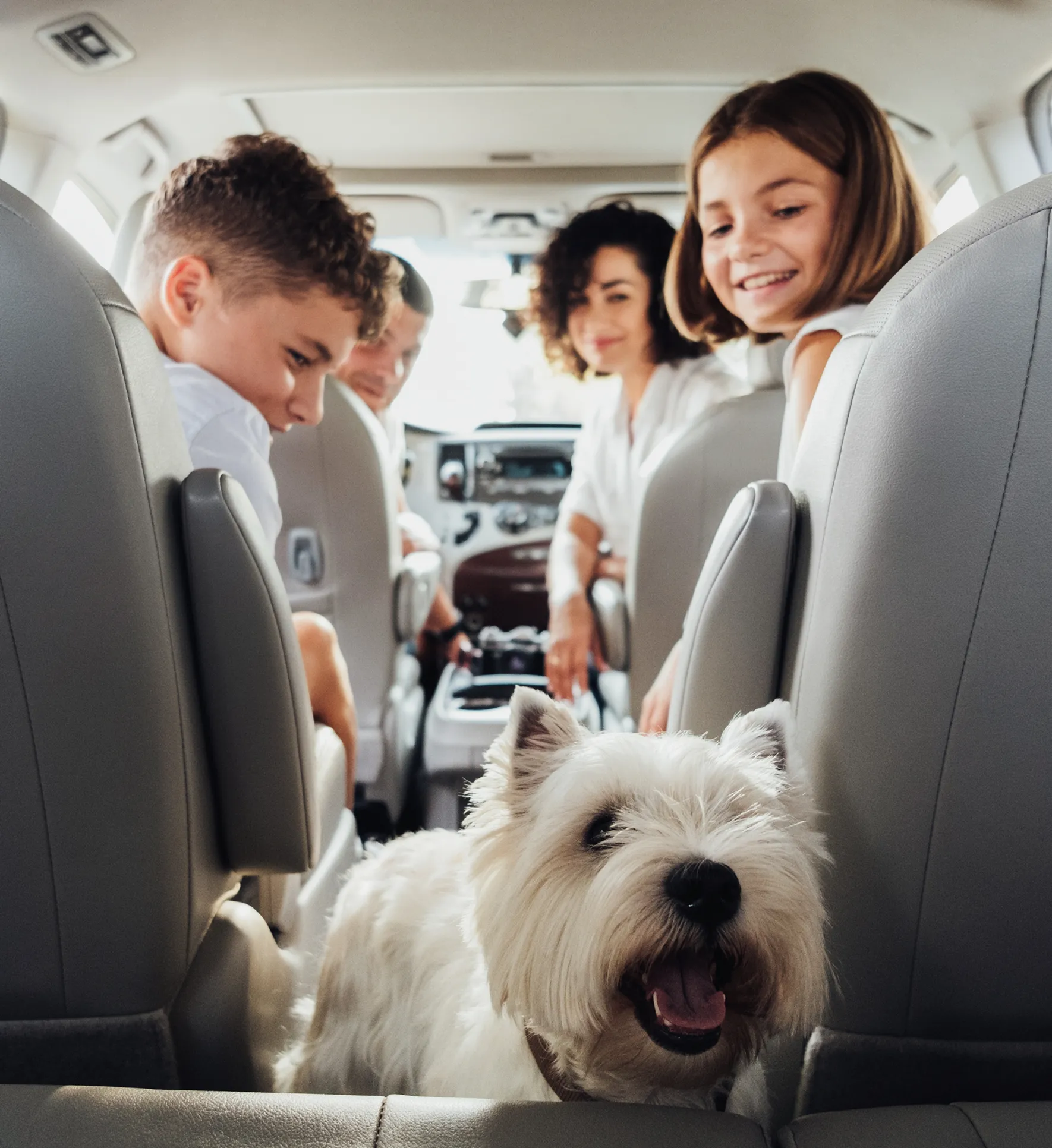 Shutterstock 2303744865 1 (7)