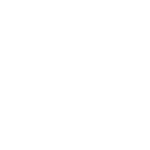 Arizona Icon Solid White 150X150
