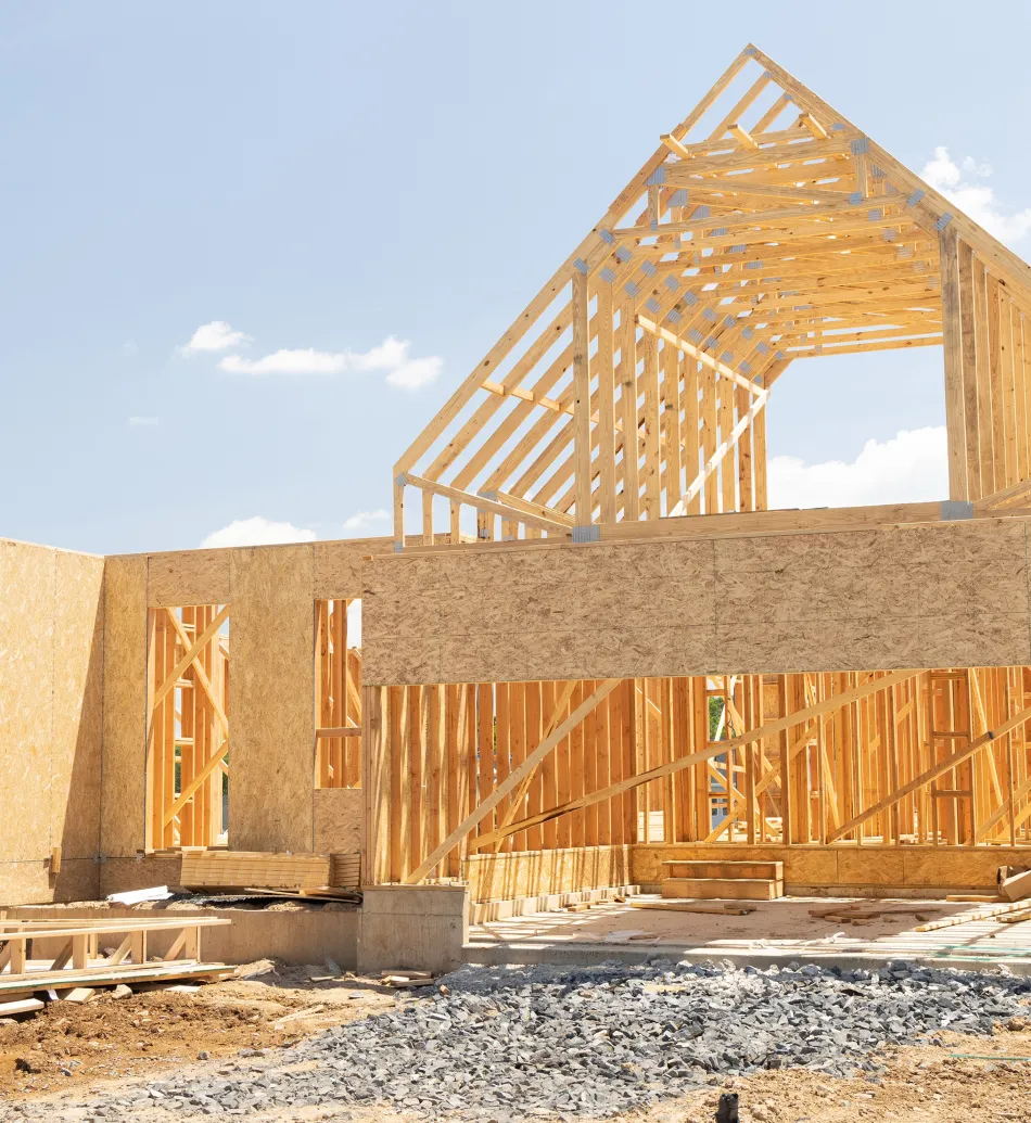 Shutterstock 2303744865 1 (4)