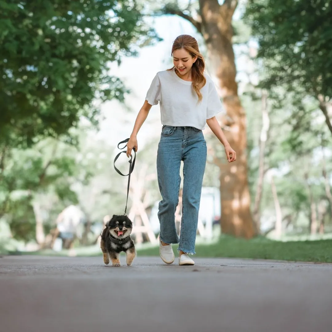 Woman Walking The Dog Happy 1620X1080